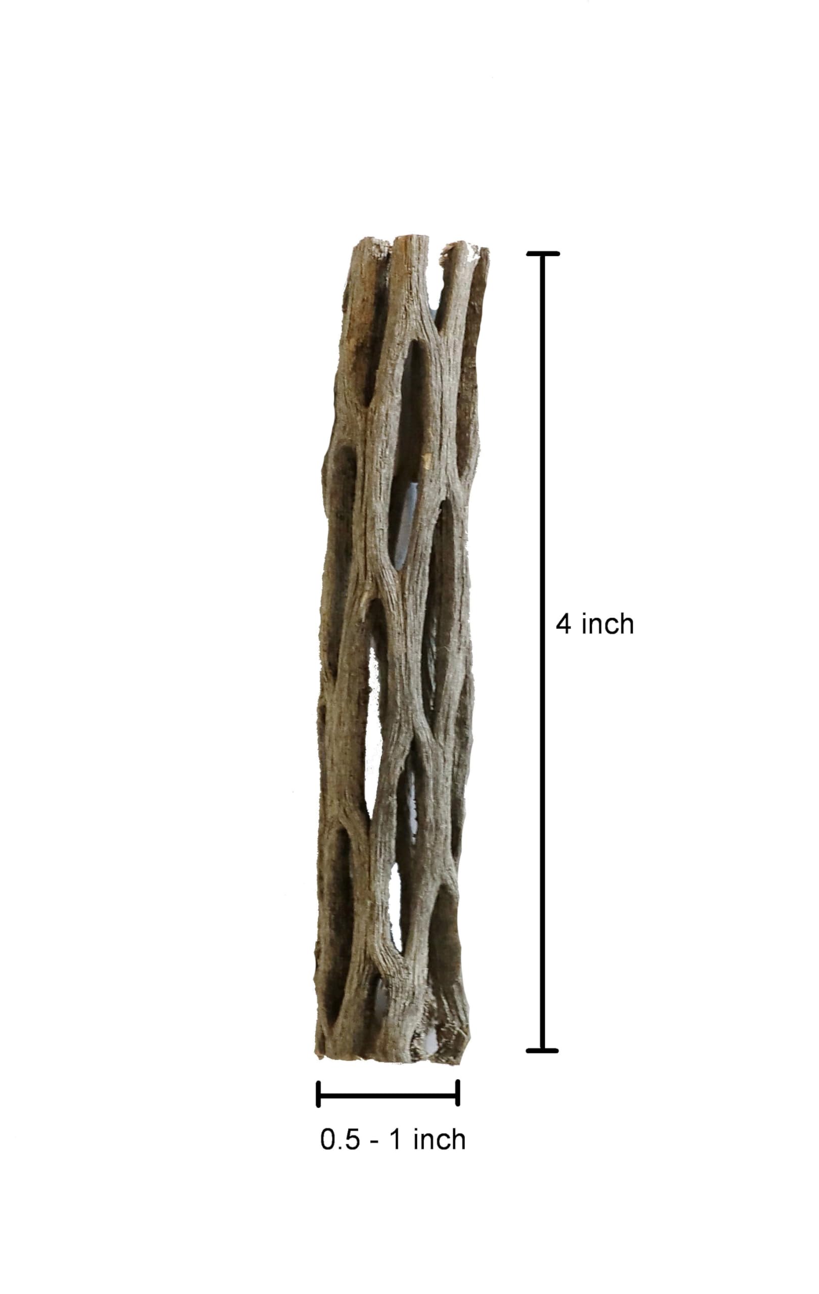 Natural Cholla Wood for Aquarium Shrimp and Fish Tank (4 Inch (3 Pack))