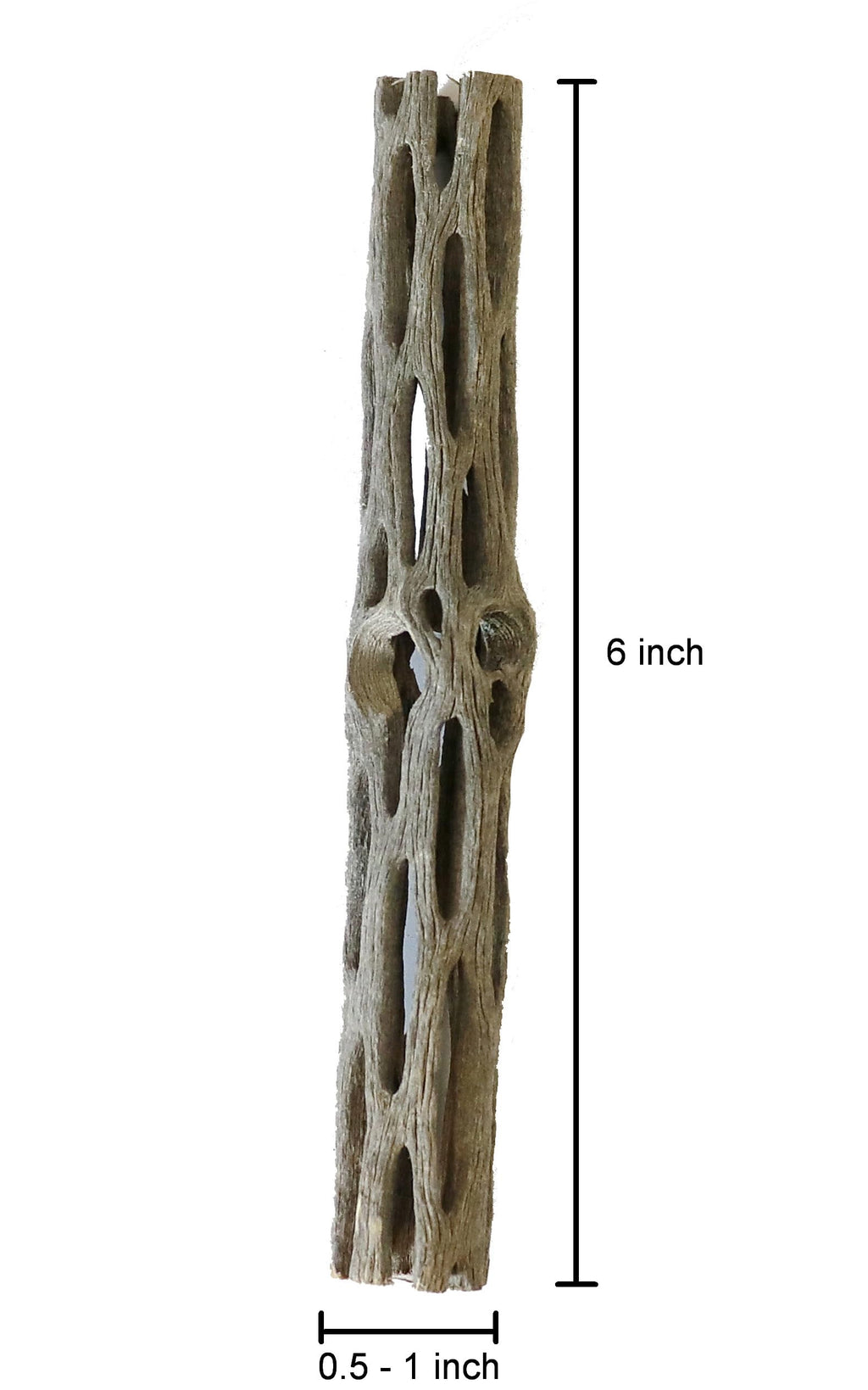Natural Cholla Wood for Aquarium Shrimp and Fish Tank (6 Inch (3 Pack))