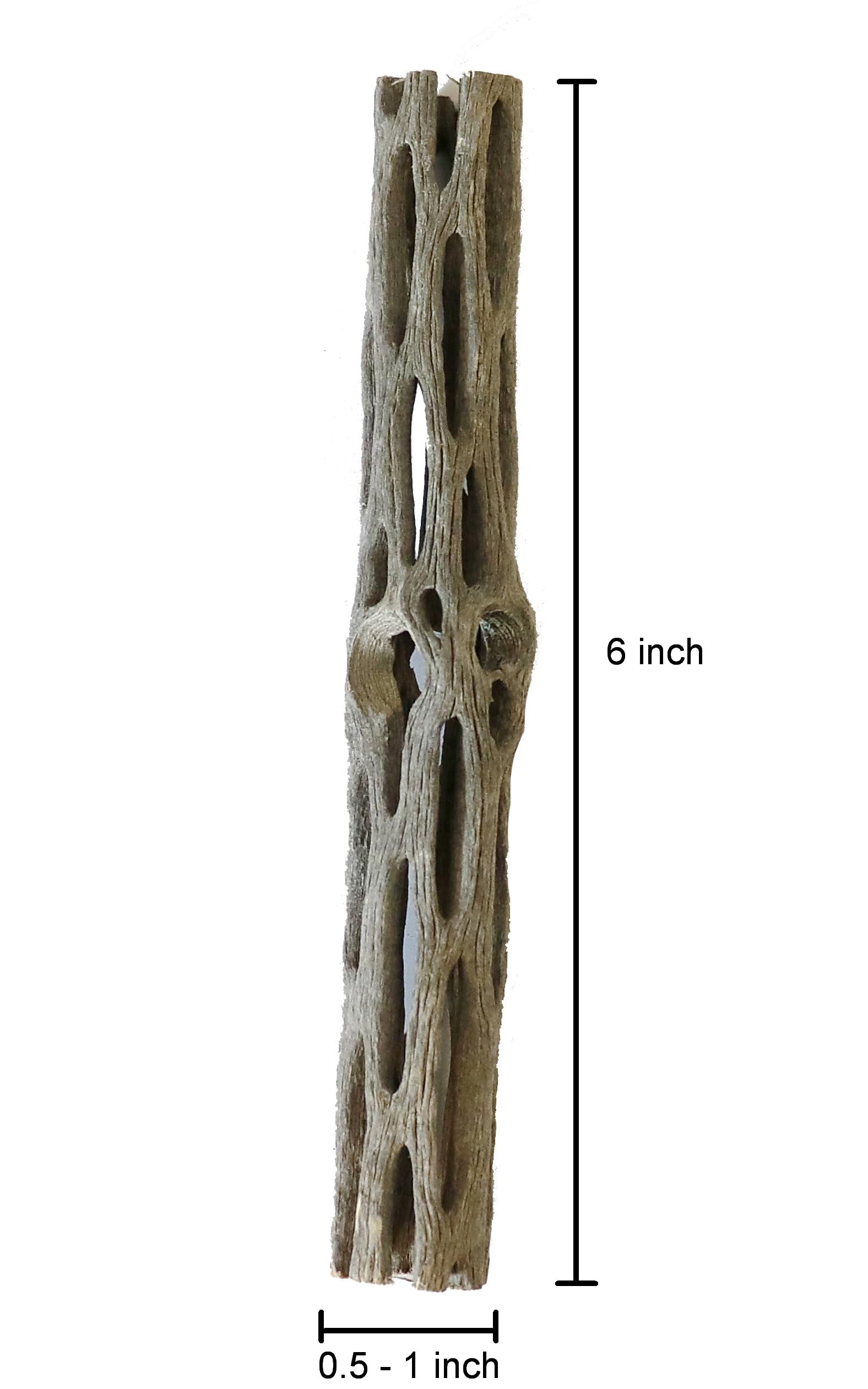 Natural Cholla Wood for Aquarium Shrimp and Fish Tank (6 Inch (3 Pack))