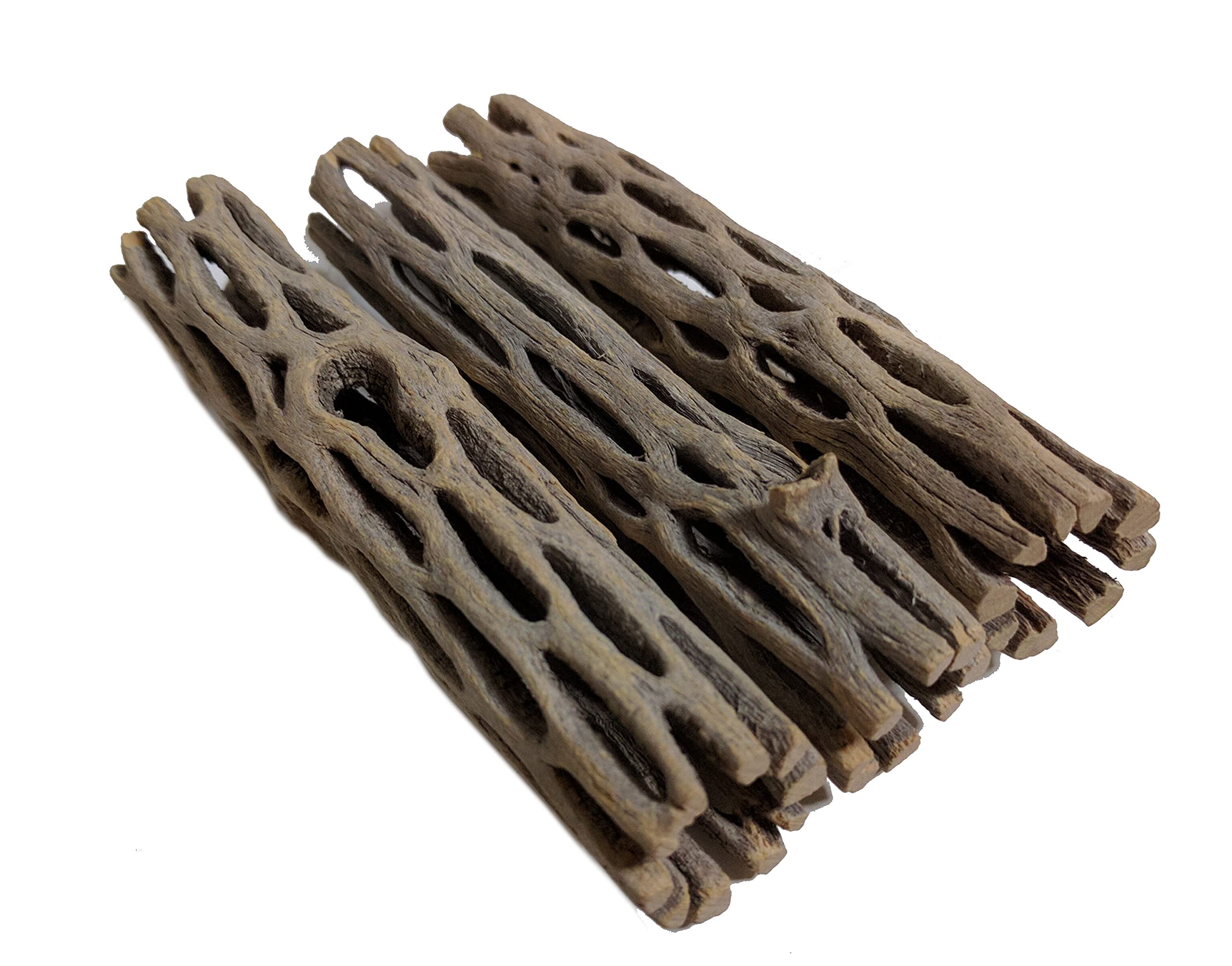 Natural Cholla Wood for Aquarium Shrimp and Fish Tank (4 Inch (3 Pack))